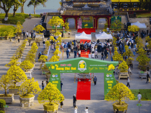 Tết ở Huế có gì vui