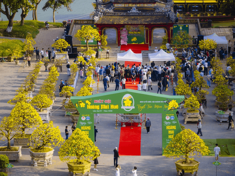 what is fun in Hue during Tet